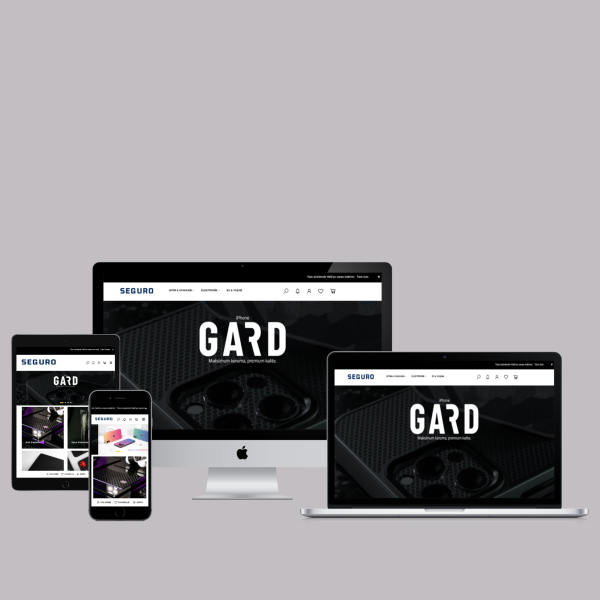 E-Ticaret Web Paketi Seguro